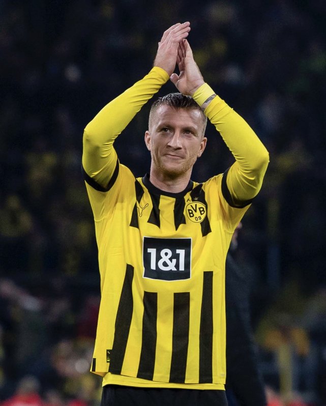 关于芝加哥公牛训练开放日，清晨队长鼓劲引欢呼，德甲在即，数据趋势出现新变化的信息