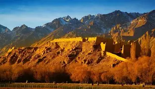 社区盾杯哪里有直播